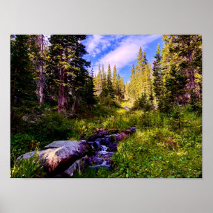 Póster Triunfo del Alto País – Caminata por la Montaña de