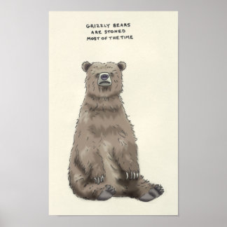 Póster trivia de oso pardo