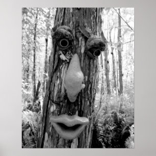 Póster Troll de árbol en un árbol Big Cypress.