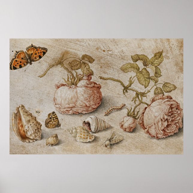 Póster Trompe l'oeil Still Life -Jan van Kessel el ancian (Frente)
