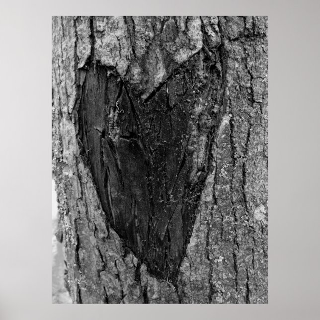 Póster Tronco de corazón de árbol (Frente)