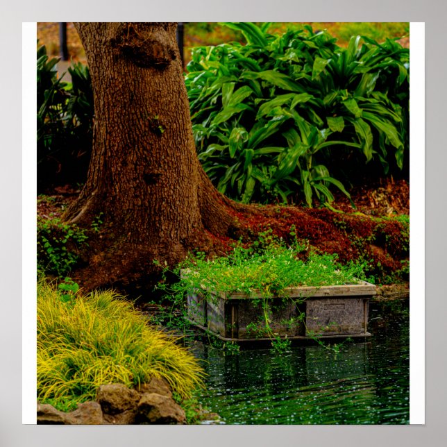 Póster Tronco y Agua (Frente)