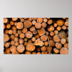 Póster troncos aserrados
