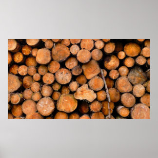 Póster troncos aserrados