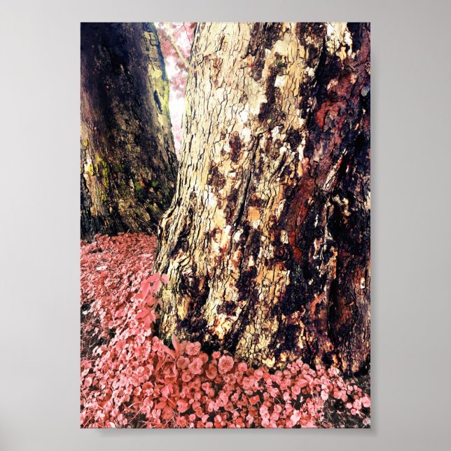 Póster troncos de árbol (Frente)