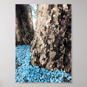 Póster troncos de árbol