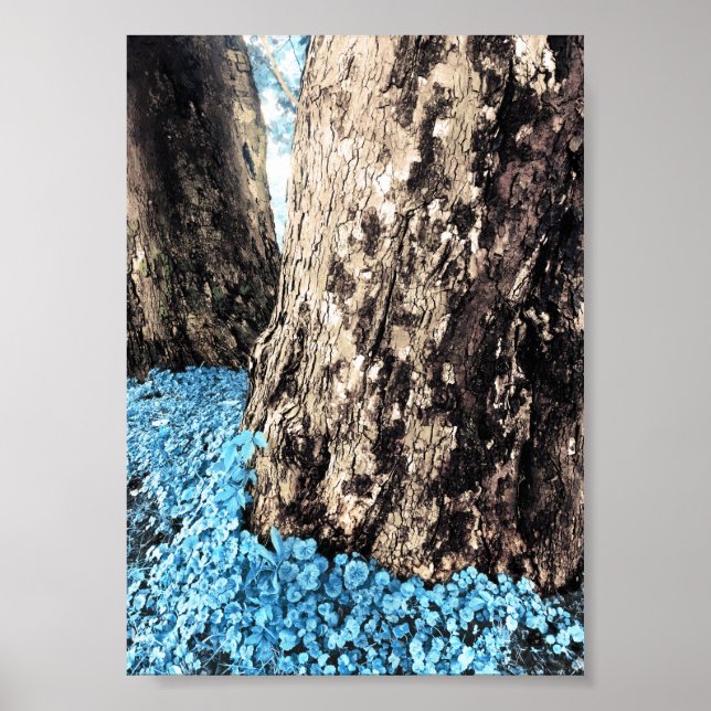 Póster troncos de árbol (Frente)