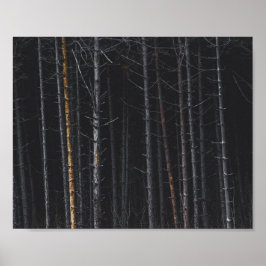 Póster Troncos de árboles de plata y oro