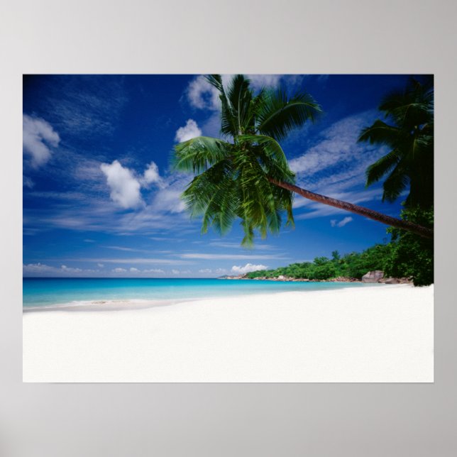 Póster Tropical Beach | Seychelles (Frente)