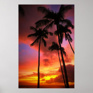 Póster Tropical Beaches Maui Hawaii Islands