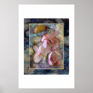 Póster Tropical Dream