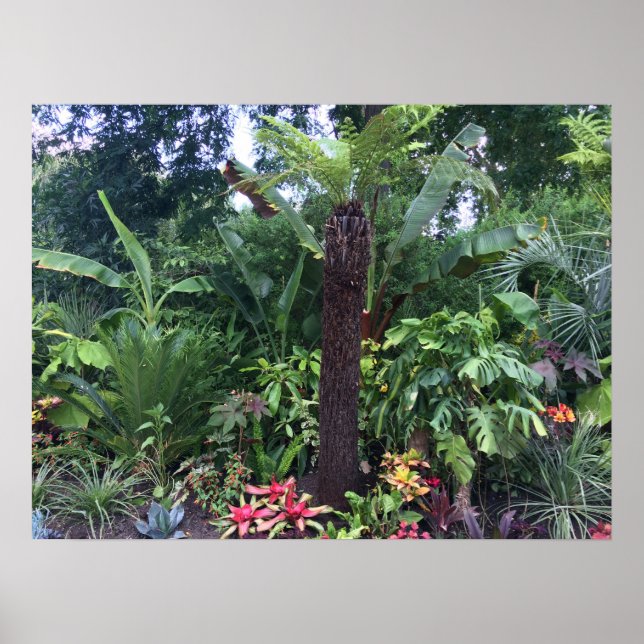 Póster Tropical Garden (Frente)