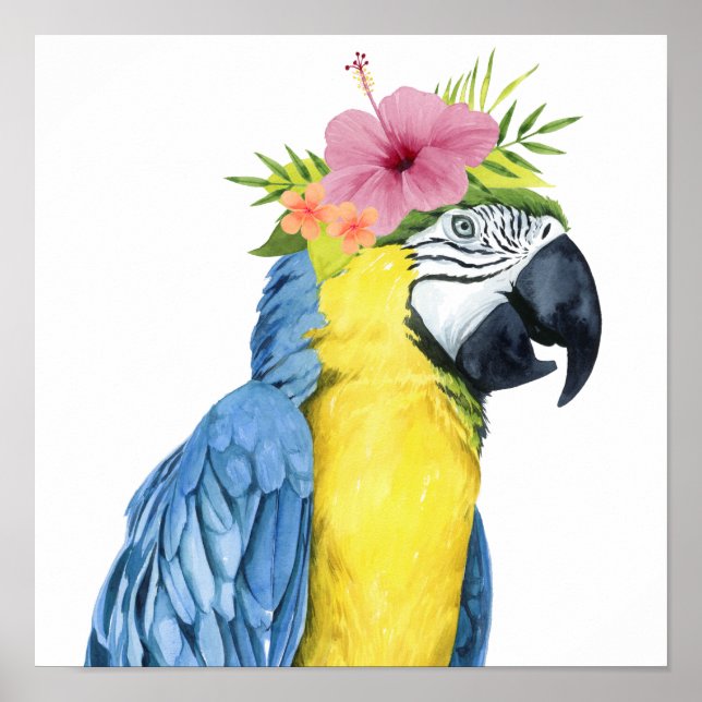 Póster Tropical Halo - Parrot (Frente)