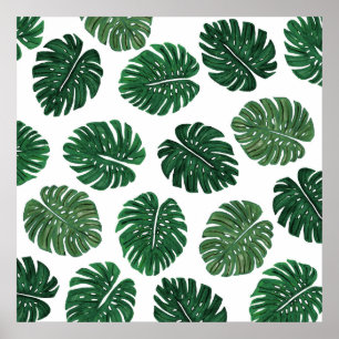 Póster Tropical Hand Painted Swiss Cheese Plant Leaves