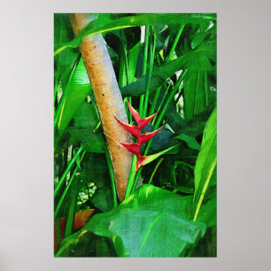 Póster Tropical Heliconia - Walk in the garden