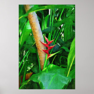 Póster Tropical Heliconia - Walk in the garden