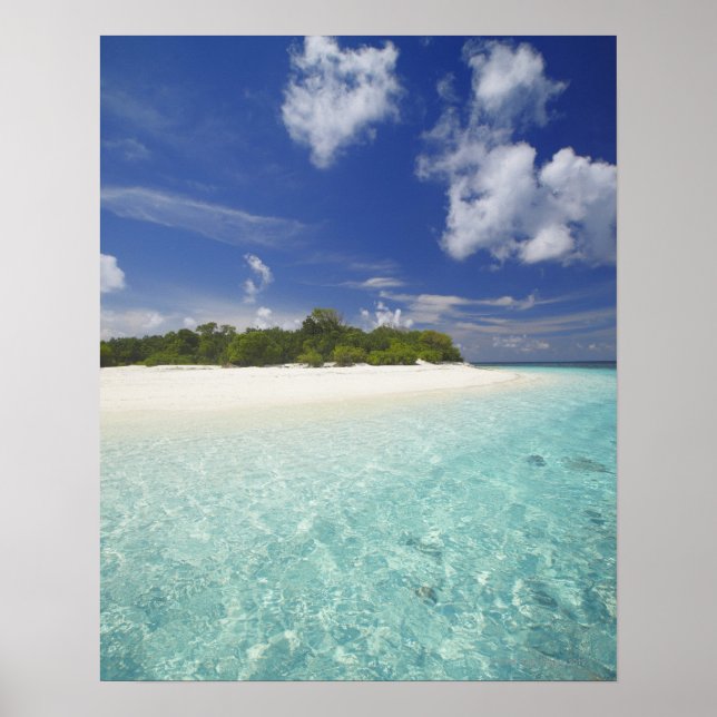 Póster Tropical island surrounded by lagoon, Maldives, (Frente)