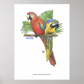 Póster Tropical Macaws