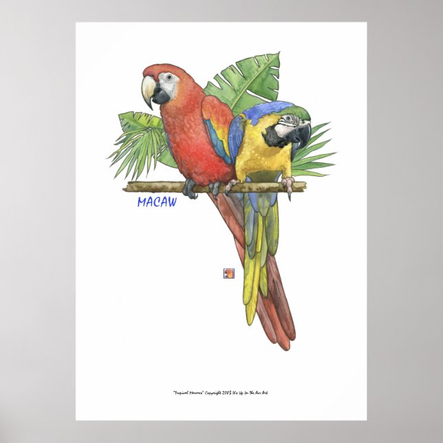 Póster Tropical Macaws (Frente)