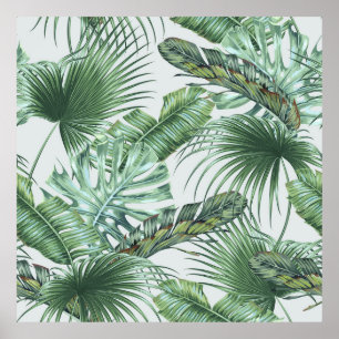 Póster Tropical palm leaves, monstera, banana leaf, jungl