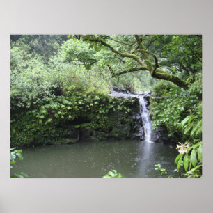 Póster Tropical Rain Forest Waterfall