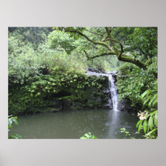 Póster Tropical Rain Forest Waterfall