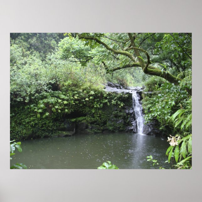 Póster Tropical Rain Forest Waterfall (Frente)