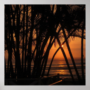 Póster Tropical Sunset