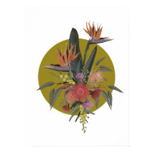 Tropicales de Australia