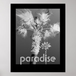 Póster tropics poster black and white photograph