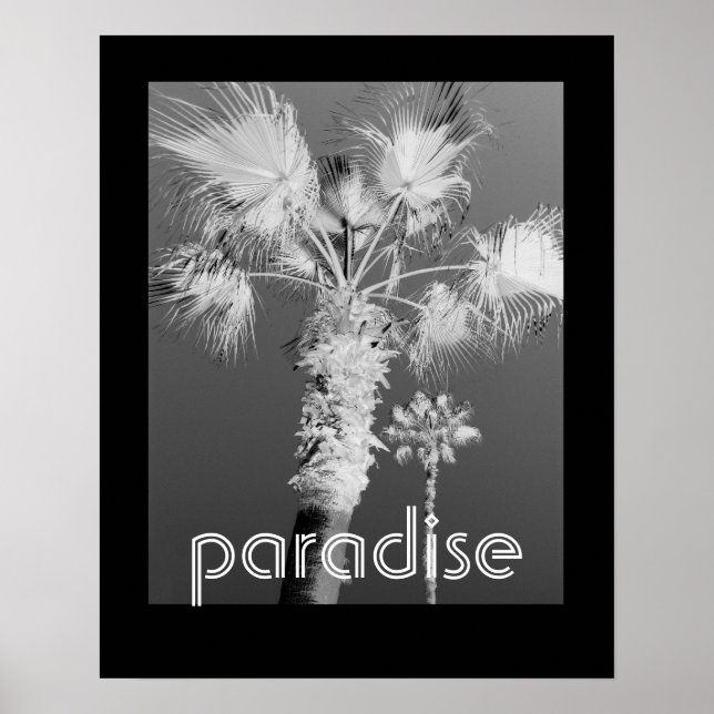 Póster tropics poster black and white photograph (Frente)