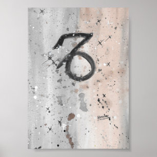 Póster TROS Capricorn