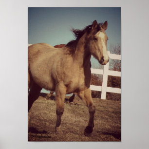 Póster Trote del ante