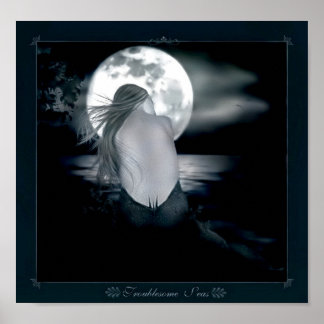 Póster Troublesome Seas