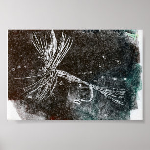 Póster Trout Fly Poster