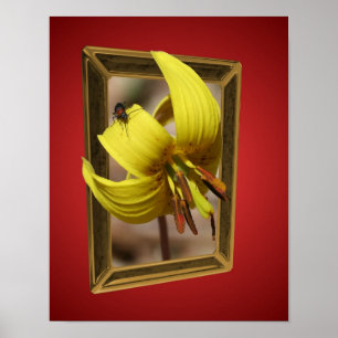 Póster Trout Lily Flower Out Of Bounds Art