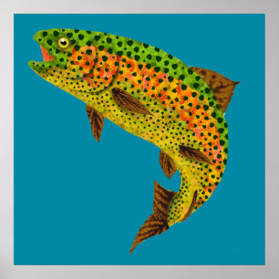 Póster Trucha arco iris de hoja de lápiz 1