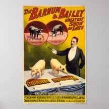 Trucha del Poster de circo de cerdos entrenados de