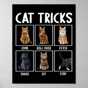 Póster Trucos Divertidos de Gatos 