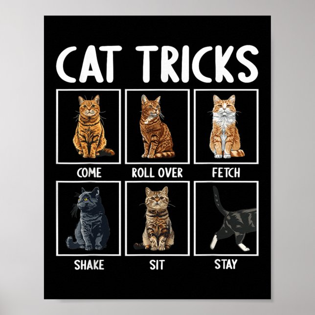 Póster Trucos divertidos de gatos  (Frente)
