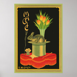 Póster Trucos mágicos