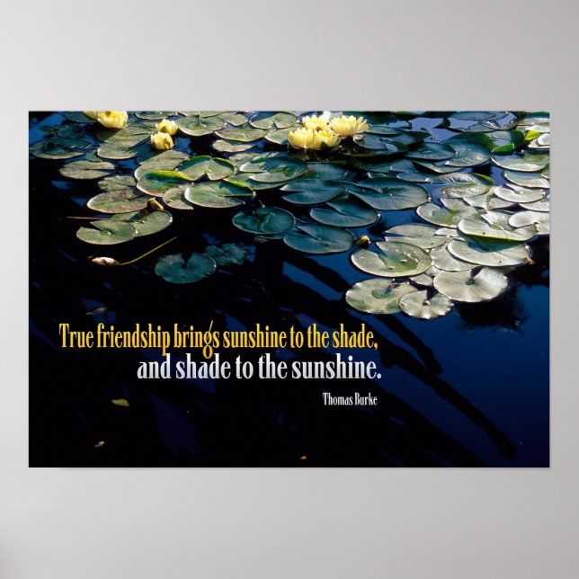 Póster True Friendship (Frente)