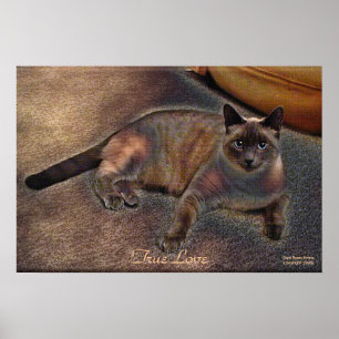 Póster TRUE LOVE Kitty Art Poster
