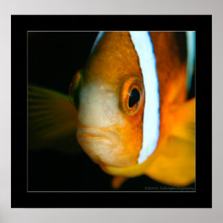 Póster Truk Yamagiri Maru 009bcr