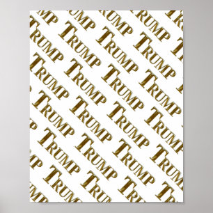 PÓSTER TRUMP
