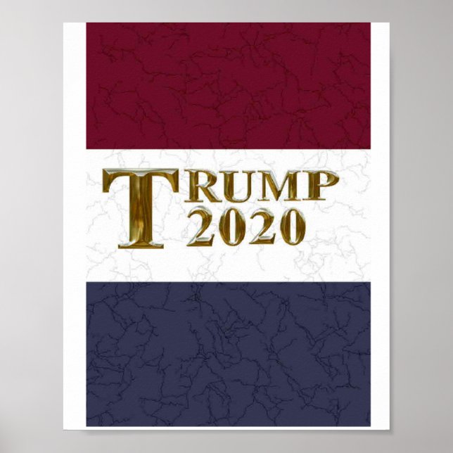 PÓSTER TRUMP 2020 (Frente)