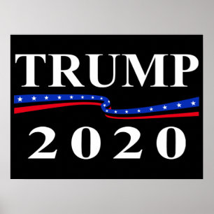 Póster Trump 2020