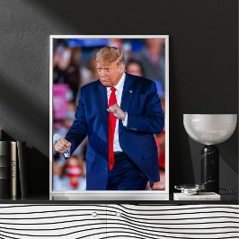 Póster Trump Dance Funny