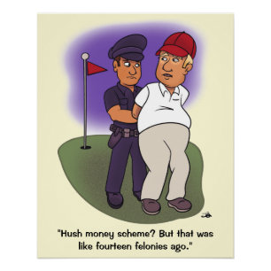 Póster Trump Felonies Glossy