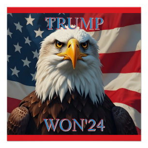 PÓSTER TRUMP GANÓ EL 2024